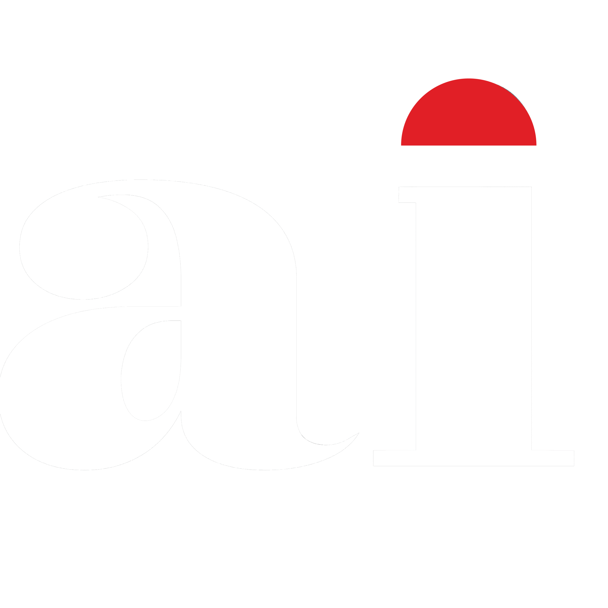 Asenkai Logo