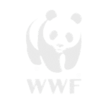 WWF-India Logo